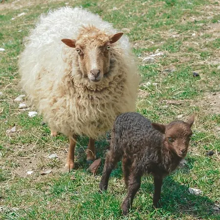 Agriturismo Vezzano Chiusi della Verna