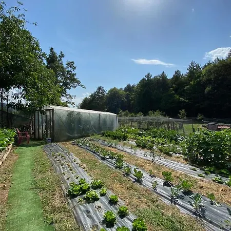 Agriturismo Vezzano * Chiusi della Verna